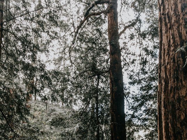 Josh and Jeanne&apos;s Wedding in Big Sur, California 19