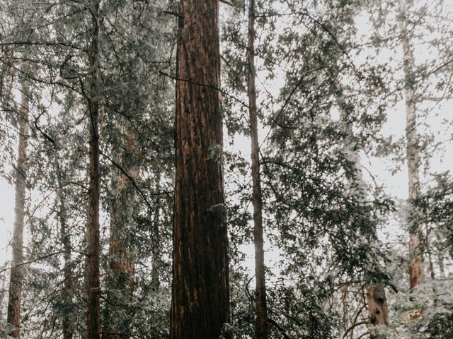 Josh and Jeanne&apos;s Wedding in Big Sur, California 28