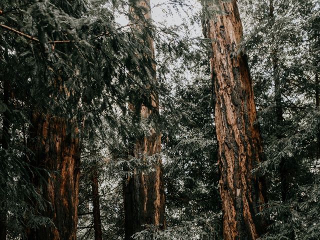 Josh and Jeanne&apos;s Wedding in Big Sur, California 32