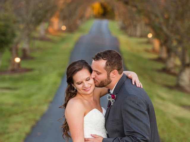 David and Jordan's Wedding in Waynesboro, Virginia 29