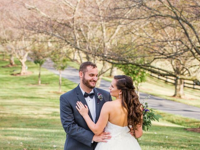 David and Jordan's Wedding in Waynesboro, Virginia 34