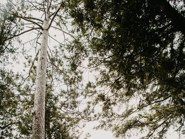 Andrew and Johanna&apos;s Wedding in Mackinac Island, Michigan 36