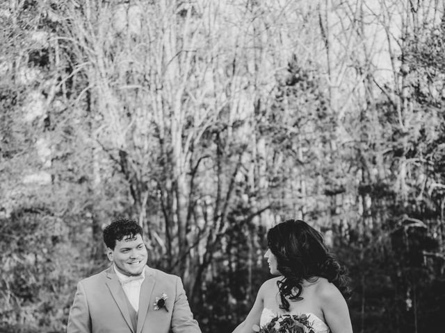 Anthony and Alexa&apos;s Wedding in Pilot Mountain, North Carolina 12