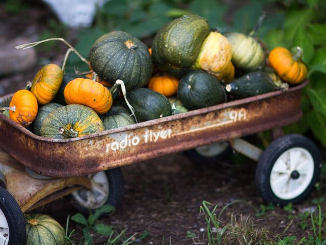 Nicole and Steve&apos;s Wedding in Lewisberry, Pennsylvania 3