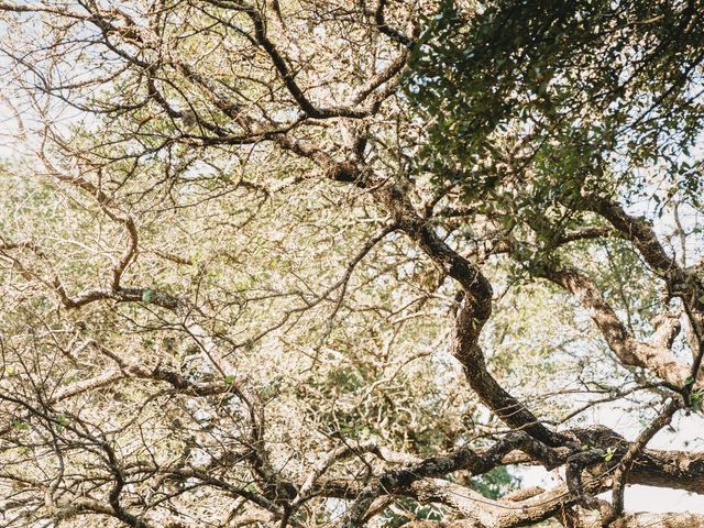 Keaton Holcomb and Elsie Uribe's Wedding in Dripping Springs, Texas 19