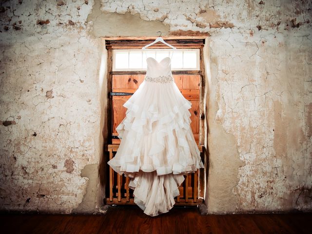 Adam and Jessica's Wedding in Audubon, Pennsylvania 2