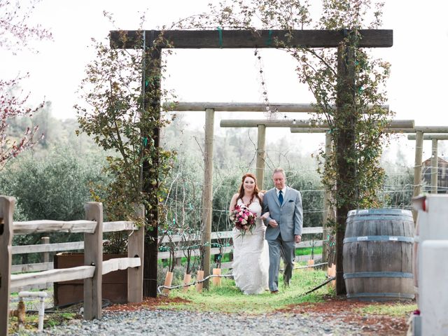 Kim and Daniel&apos;s Wedding in Jamestown, California 7