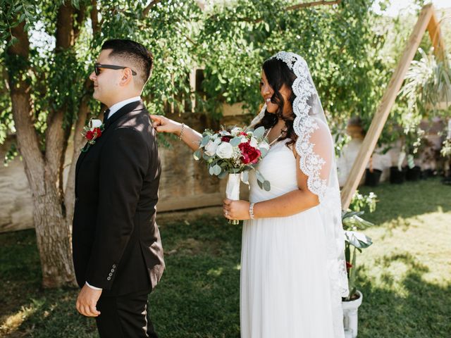 Lisa and Mark's Wedding in Temecula, California 4