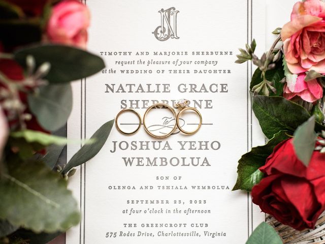 Josh and Natalie&apos;s Wedding in Charlottesville, Virginia 12