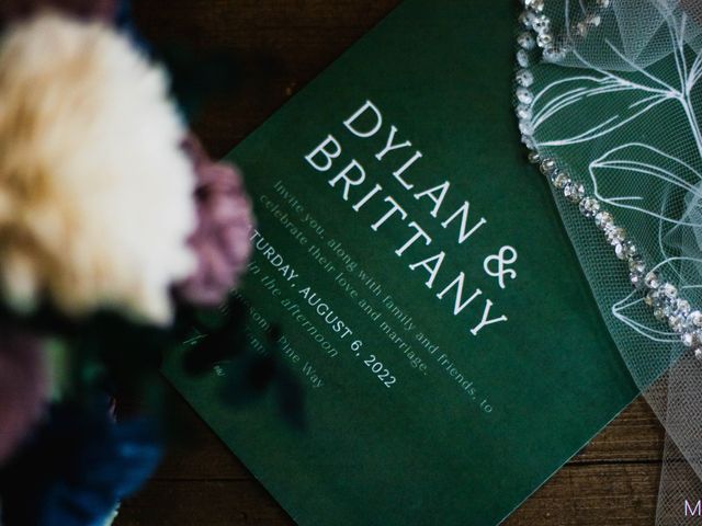Dylan and Brittany&apos;s Wedding in Sevierville, Tennessee 35