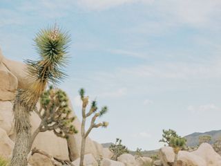 The wedding of Sonya and Nick 1