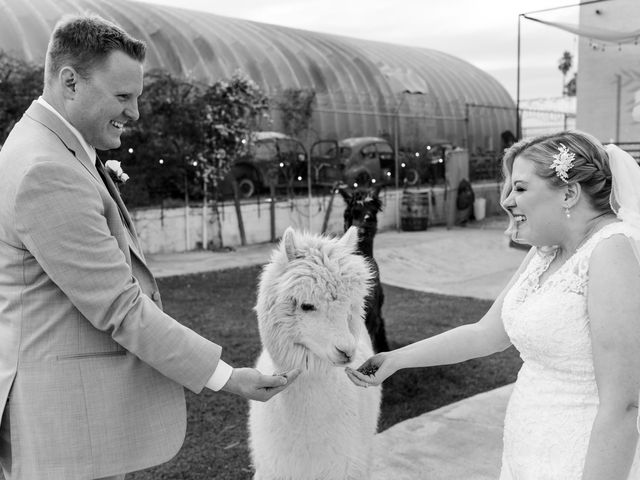 Alan and Kailey&apos;s Wedding in Las Vegas, Nevada 60