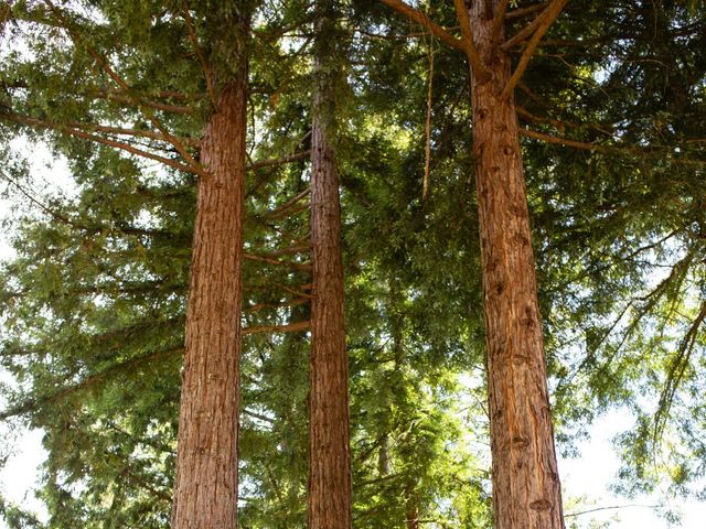 Tim and Liana&apos;s Wedding in Ben Lomond, California 12