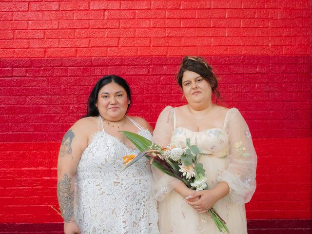 Elizabeth and Krissy&apos;s Wedding in Chicago, Illinois 11