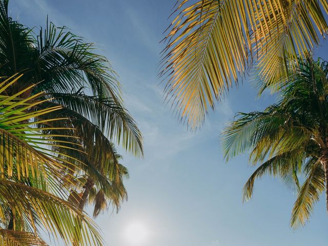 Madeline and Kyle's Wedding in Oranjestad, Aruba 51