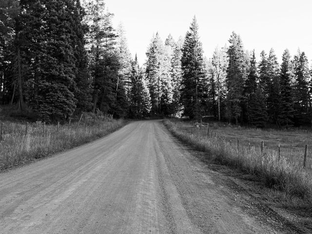 Tate and Jessica&apos;s Wedding in Pagosa Springs, Colorado 57