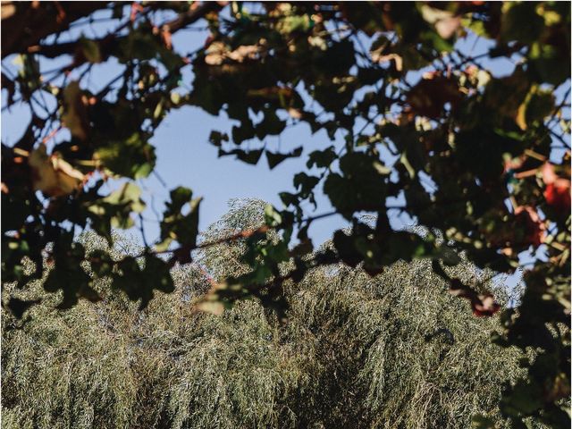 Jorge and Sherie&apos;s Wedding in Sunol, California 27