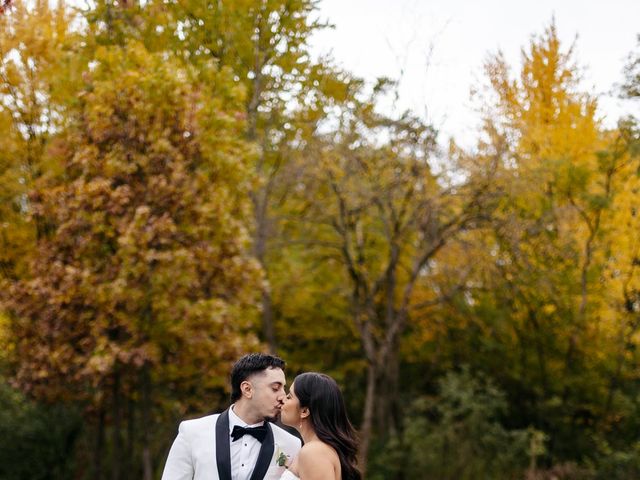 Juan and Adelin's Wedding in Chicago, Illinois 5