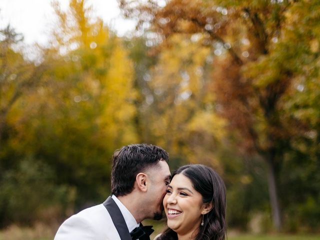 Juan and Adelin's Wedding in Chicago, Illinois 11