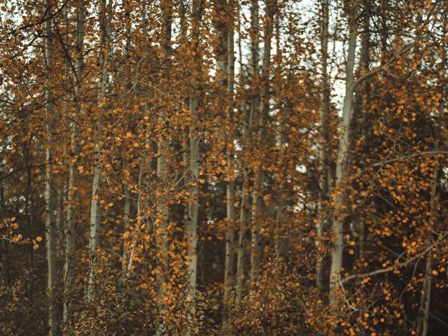 Ezra and Megan's Wedding in Leavenworth, Washington 83