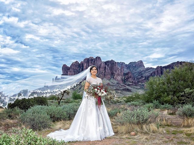 Trisha and Michael&apos;s Wedding in Gold Canyon, Arizona 2