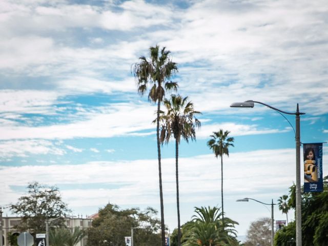 Dustin and Sarah&apos;s Wedding in La Jolla, California 1