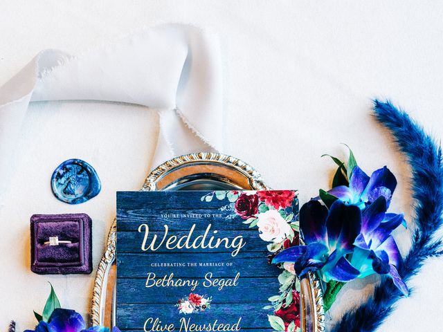 Bethany and Clive&apos;s Wedding in Pittsburgh, Pennsylvania 6