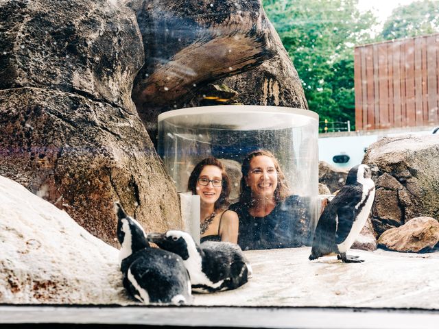 Bethany and Clive&apos;s Wedding in Pittsburgh, Pennsylvania 38
