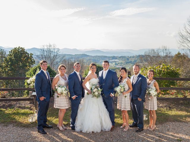 Lindsey and Mark&apos;s Wedding in Asheville, North Carolina 11