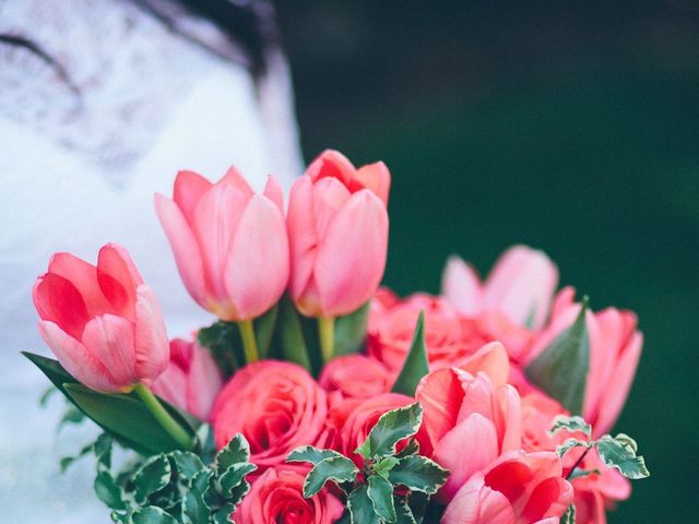 Katie and Cory's Wedding in West Palm Beach, Florida 3