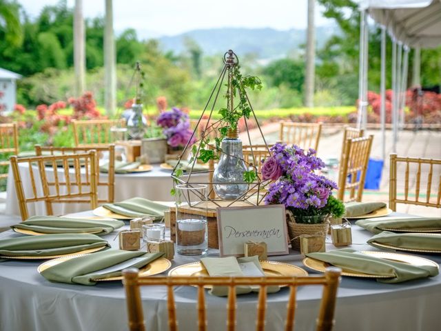 Naylill and Felix&apos;s Wedding in Caguas, Puerto Rico 17