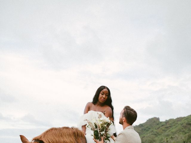 Andrew and Grace&apos;s Wedding in Kailua, Hawaii 9