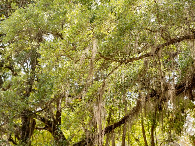 Abigail and Chance's Wedding in Thomasville, Georgia 87