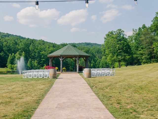 Nick and Sarah&apos;s Wedding in Stanley, Virginia 13