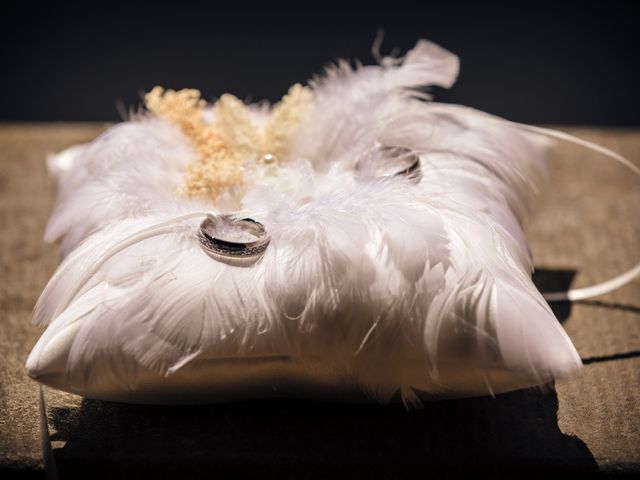 Yulan and Yizhen's Wedding in Austin, Texas 5
