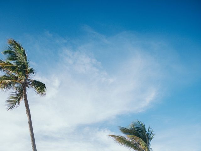 Remigiuz and Sabine&apos;s Wedding in Bavaro, Dominican Republic 3