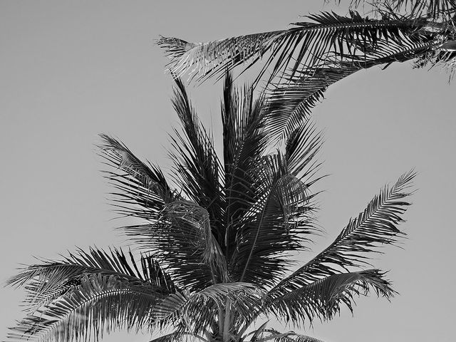 Keshan and Karishma's Wedding in Cancun, Mexico 41