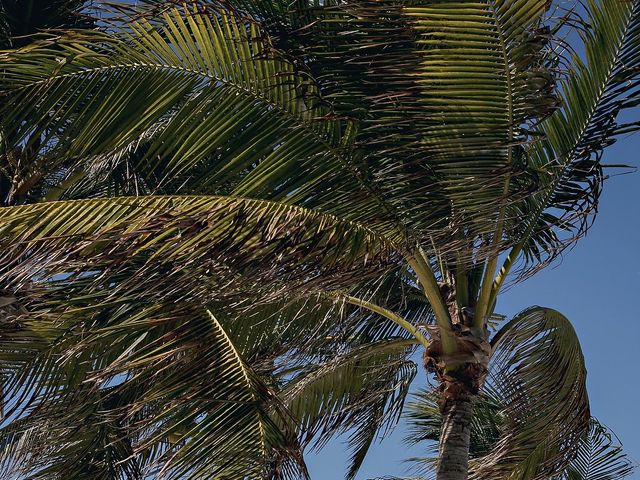 Keshan and Karishma's Wedding in Cancun, Mexico 50