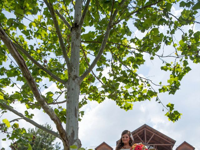 Carrie and Blake&apos;s Wedding in Mayfield, Kentucky 5