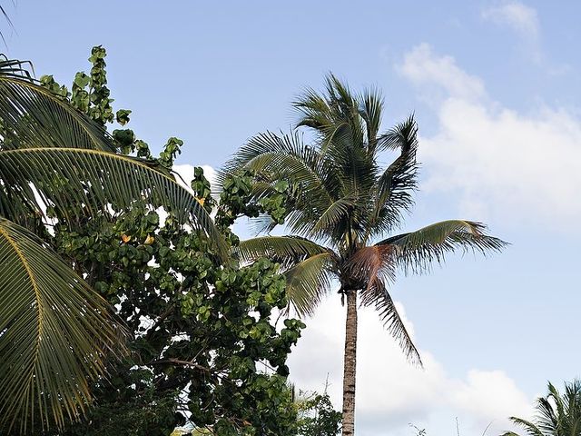 Clive and Jillian's Wedding in Cancun, Mexico 22