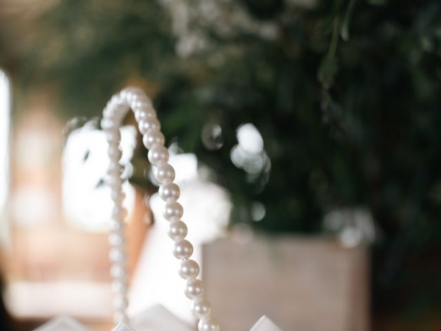 Taylor and Ray's Wedding in Tremont, Illinois 38