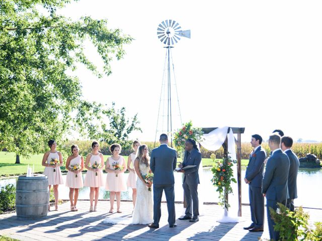 Alex and Whitney&apos;s Wedding in De Witt, Iowa 14
