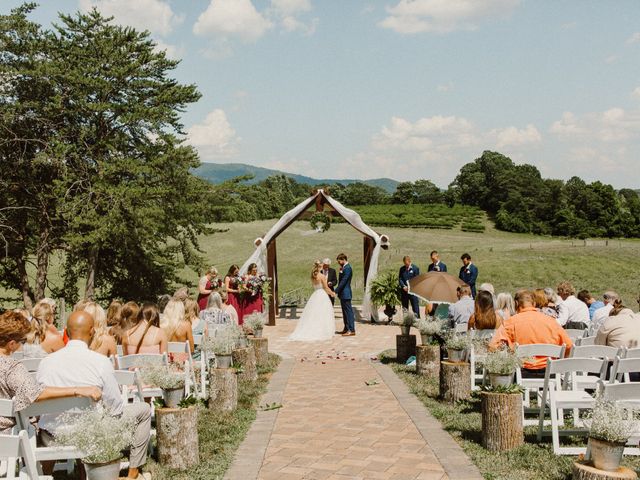 Abigail and Josh&apos;s Wedding in Roanoke, Virginia 36