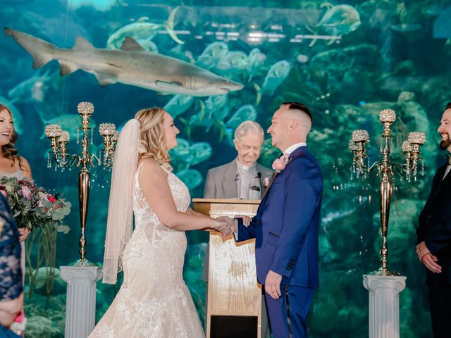 Sean and Erin&apos;s Wedding in Tampa, Florida 22