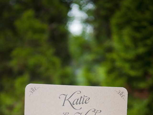 Katie and Kyle&apos;s Wedding in Charlevoix, Michigan 5