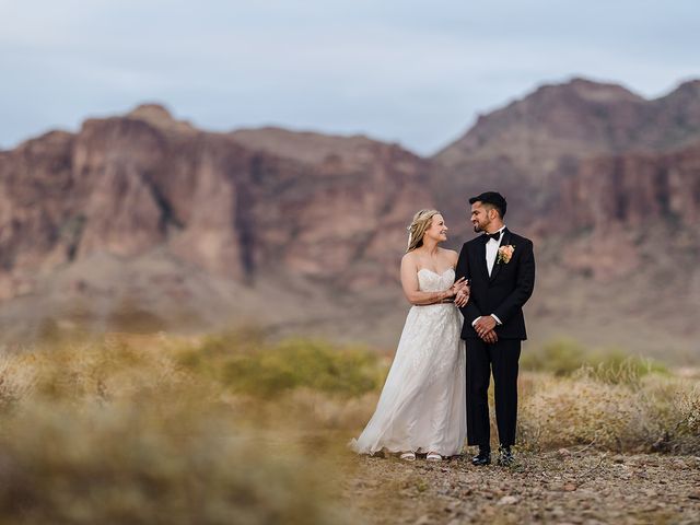 Sandeep and Brittany&apos;s Wedding in Apache Junction, Arizona 39