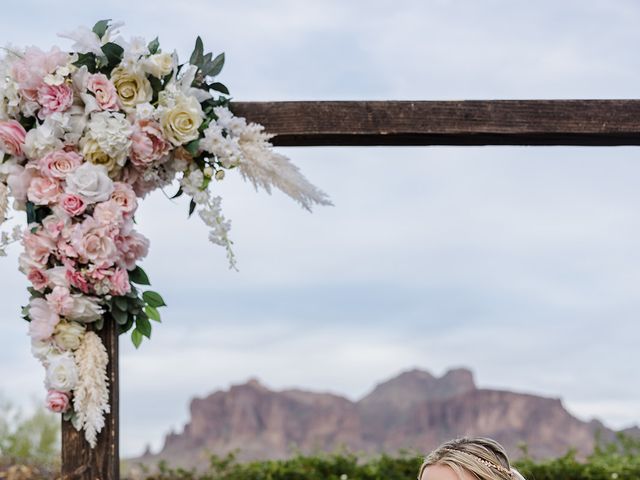 Sandeep and Brittany&apos;s Wedding in Apache Junction, Arizona 40