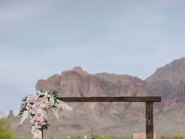 Sandeep and Brittany&apos;s Wedding in Apache Junction, Arizona 44