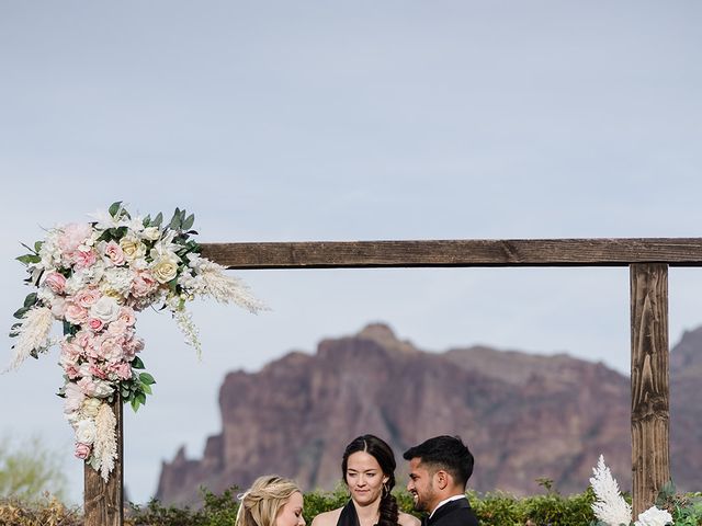 Sandeep and Brittany&apos;s Wedding in Apache Junction, Arizona 48