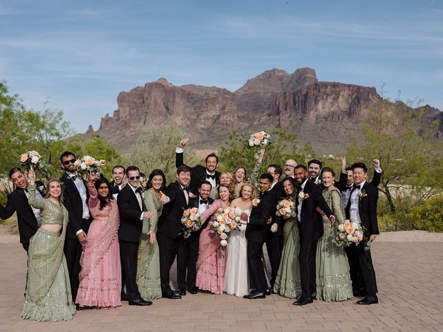 Sandeep and Brittany&apos;s Wedding in Apache Junction, Arizona 59